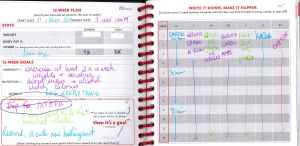 12 Week Planning Page