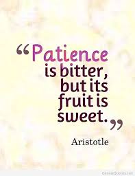 Aristotle on Patience